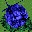 item010.jpg