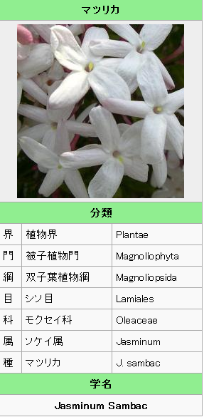 Table-Jasmine..png